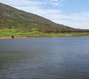 cropped-20121002_1805301.jpg